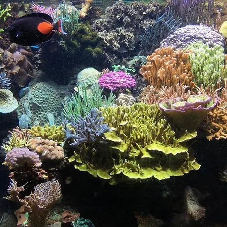 Cosy Au Centre Port Du Cap D'agde *